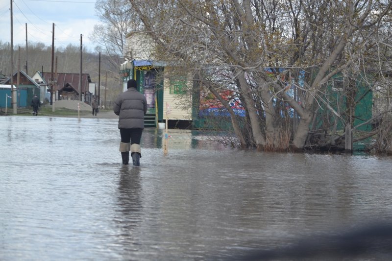 В барнаульском Затоне затопило около 250 приусадебных участков