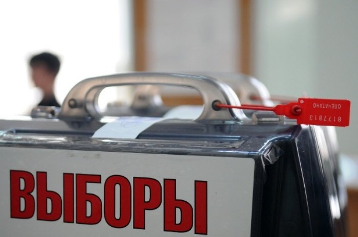 На Алтае инициирован референдум за возврат прямых выборов