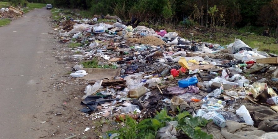 В Алтайском крае поменяют работу с твердыми бытовыми отходами