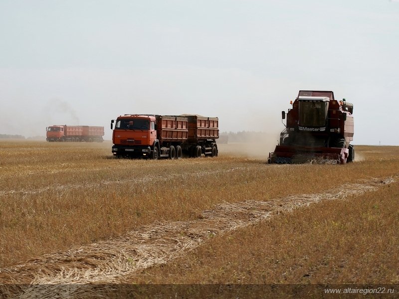 В администрации Алтайского края назвали объемы поддержки аграриев