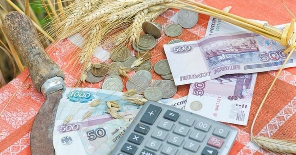 В минсельхозе Алтая назвали объем поддержки сельхозпроизводителей