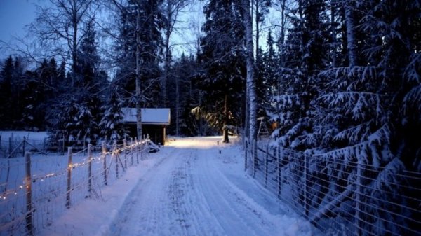 17 декабря Алтайский край ждет теплая погода