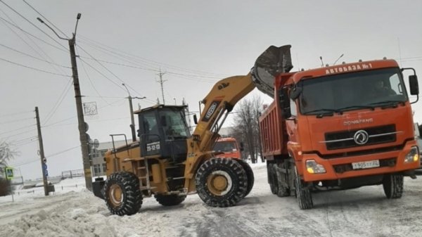 Аномально теплая погода пришла в регионы Сибири