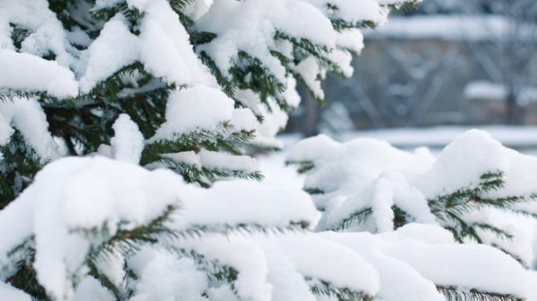 В Алтайском крае 20 января похолодает до -21°C