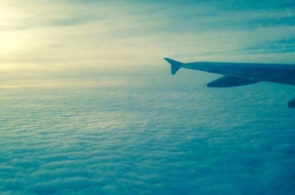 Самолета из Барнаула в Новосибирск начали летать самолеты