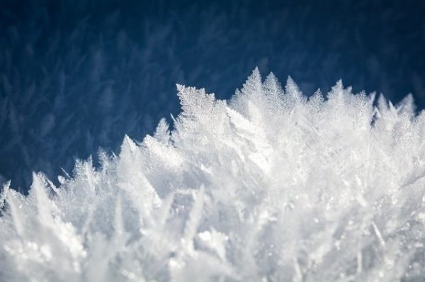 Жители Рубцовска создали петицию из-за нерасчищенных дорог