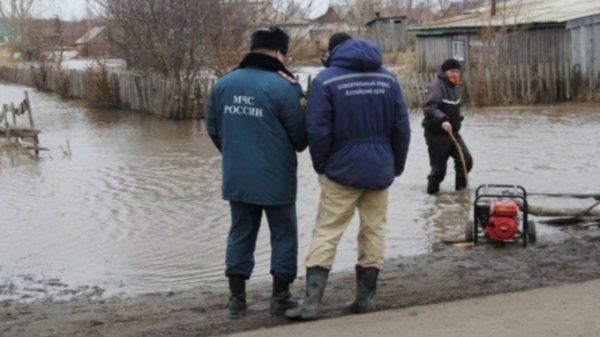 Чтобы не поплыть: в МЧС рассказали, как Алтайский край готовится к паводку
