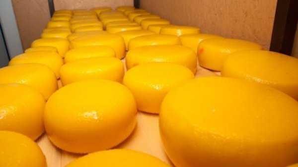 Три молочных предприятия-фантома в Алтайском крае выявила система "Меркурий"