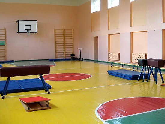 18 школьных спортивных залов отремонтируют в Алтайском крае в 2021 году