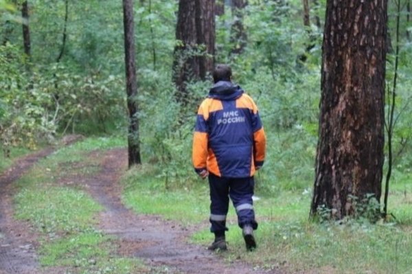 30 человек искали пропавшую пенсионерку в пригороде Барнаула