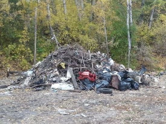 40 мешков мусора вывезли с берега Пивоварки в Барнауле
