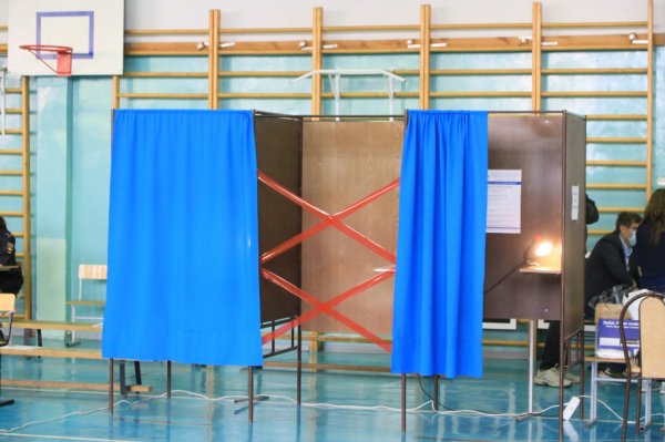 Как алтайская Общественная палата будет следить за выборами?