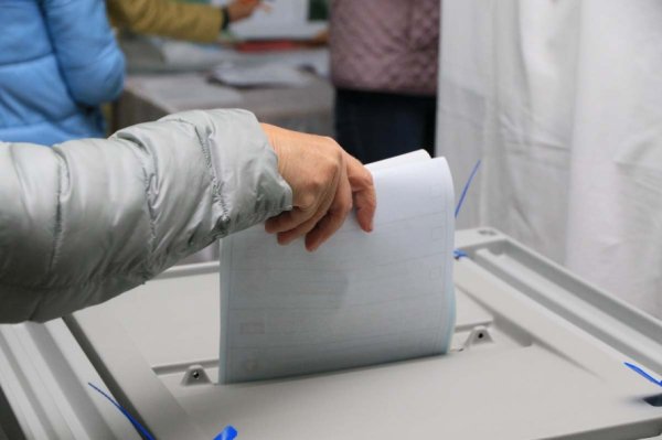 Как прошли муниципальные выборы в Алтайском крае в 2021 году?