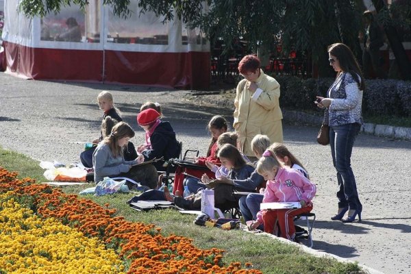 Как записать ребенка в кружок или спортивную секцию в Барнауле