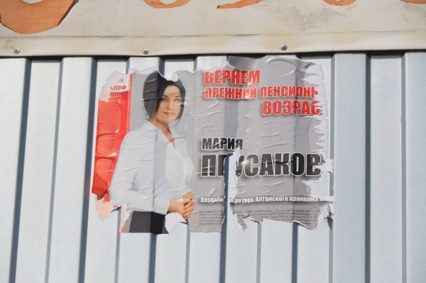 Кто победил на выборах в Госдуму от Алтайского края