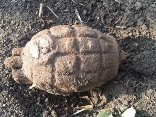 У алтайского села обнаружили гранату времен Первой мировой войны