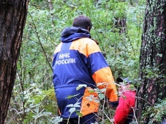 В Барнауле обнаружили тело ранее пропавшей 34-летней женщины