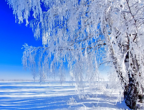 Погода 14 января в Алтайском крае: морозы до -19 градусов