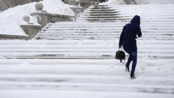 «Сахарный Барнаул». Чудная погода облепила город весенним снегом — фоторепортаж altapress.ru