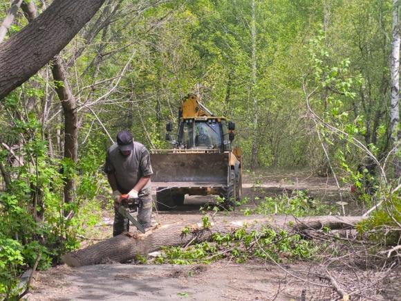 В парке «Юбилейный» начался первый этап благоустройства