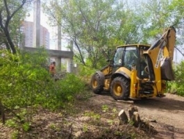 В парке «Юбилейный» начался первый этап благоустройства