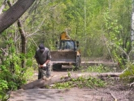 В парке «Юбилейный» начался первый этап благоустройства