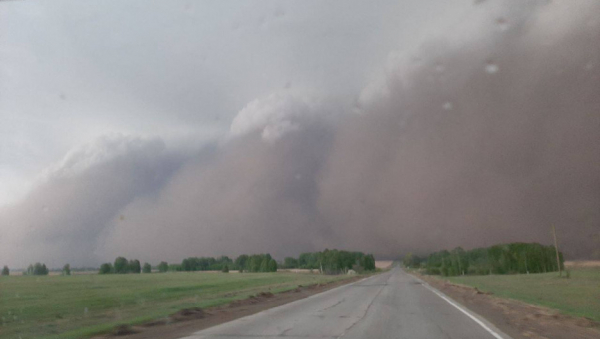 Главный синоптик Сибири объяснила феномен пыльных бурь на Алтае