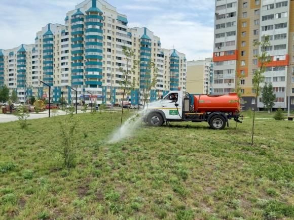 За сквером на улице Ускова будут следить тщательнее