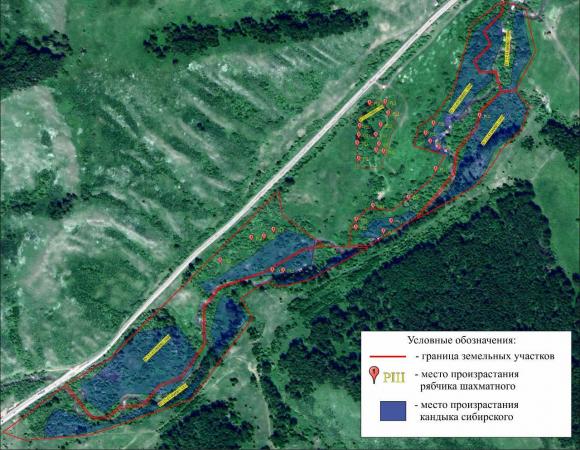 Золотодобыдчикам запретили разработку в Солонешенском районе