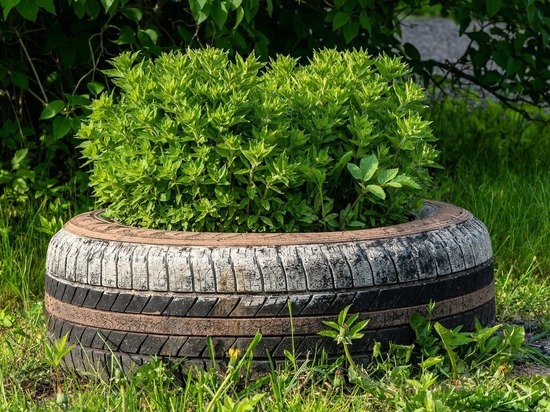 В Барнауле автомобиль залетел в цветочную клумбу после ДТП