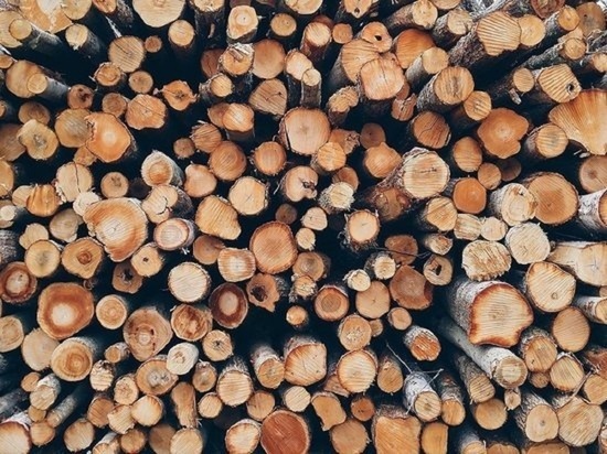 Алтайский край вошел в число регионов с одной из самых высоких цен на дрова