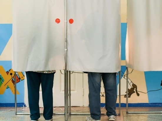 Явка на выборах в Алтайском крае составила 21,4%