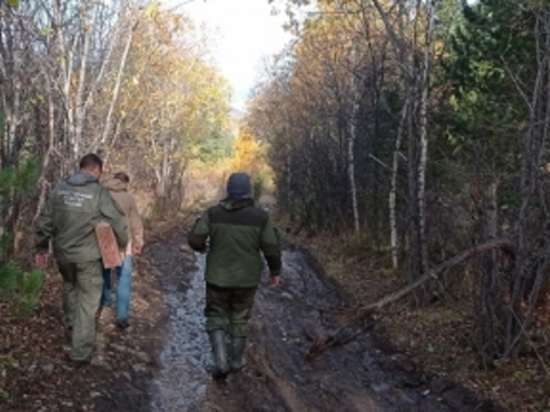 Сборщика орехов убили на Алтае