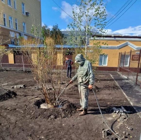 В сквере медиков посадили деревья