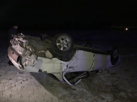 На Алтае автомобиль превратился в груду металла после столкновения с лошадью