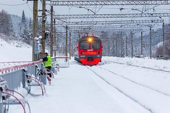 Новый пригородный поезд Барнаул-Славгород запустят 12 декабря