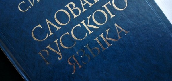 Режим прекращения огня, миссию по Еленовке хотят расформировать, и борьба с беспилотниками. Что еще произошло 5 января