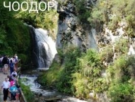 Прогулка на катере по Телецкому озеру - это интересно и очень выгодно!