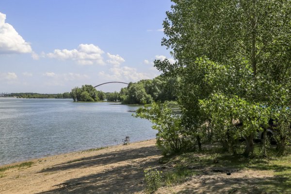 Как выглядит пойма Оби в Новосибирске, где построят крупнейший парк