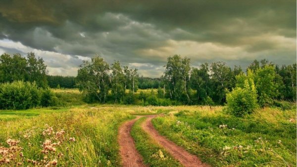 Какая погода в Алтайском крае ожидается в последние выходные июля