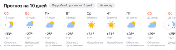 Когда экстремальная жара покинет Алтайский край и придет прохлада