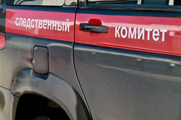 Мужчину в Барнауле обвиняют в действиях сексуального характера к девочке