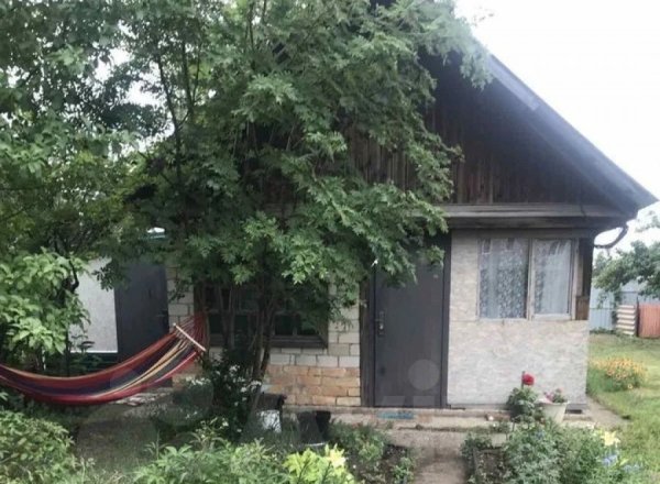 Сними и кайфуй. Какие дачи у озер можно арендовать в Алтайском крае