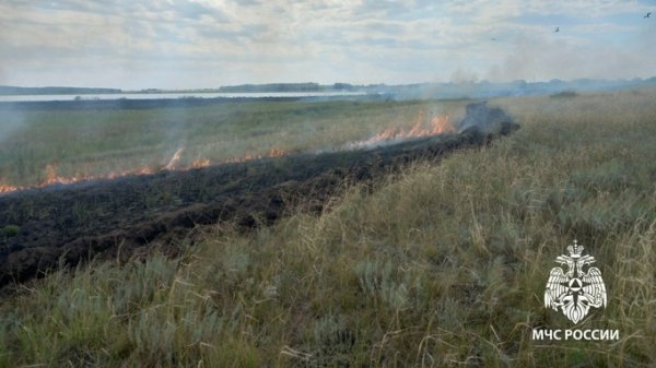 Трава загорелась из-за газового баллона в палаточном лагере на Алтае