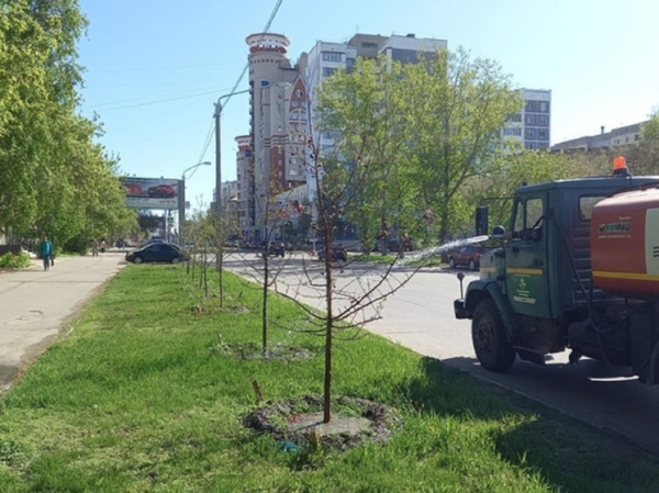 В Барнауле будут обильнее поливать улицы из-за аномальной жары