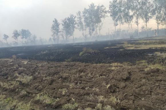 В Бурлинском районе горели поля на площади 2500 га
