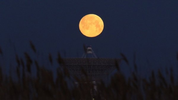 Жители Алтайского края 1 августа смогут наблюдать суперлуние