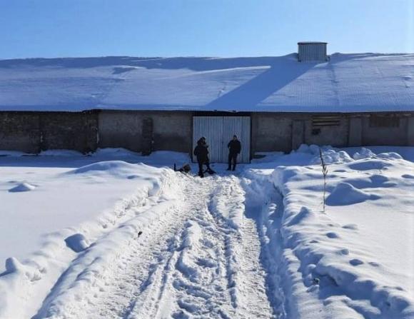 Жительницу Советского района отправят на принудительное лечение за убийство дочери