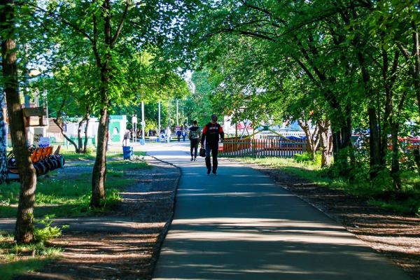 Барнаульцы ответили на вопрос, что хотят видеть в парке им. Ленина