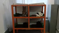 Бийские зоозащитники обеспокоены состоянием животных в передвижном зверинце